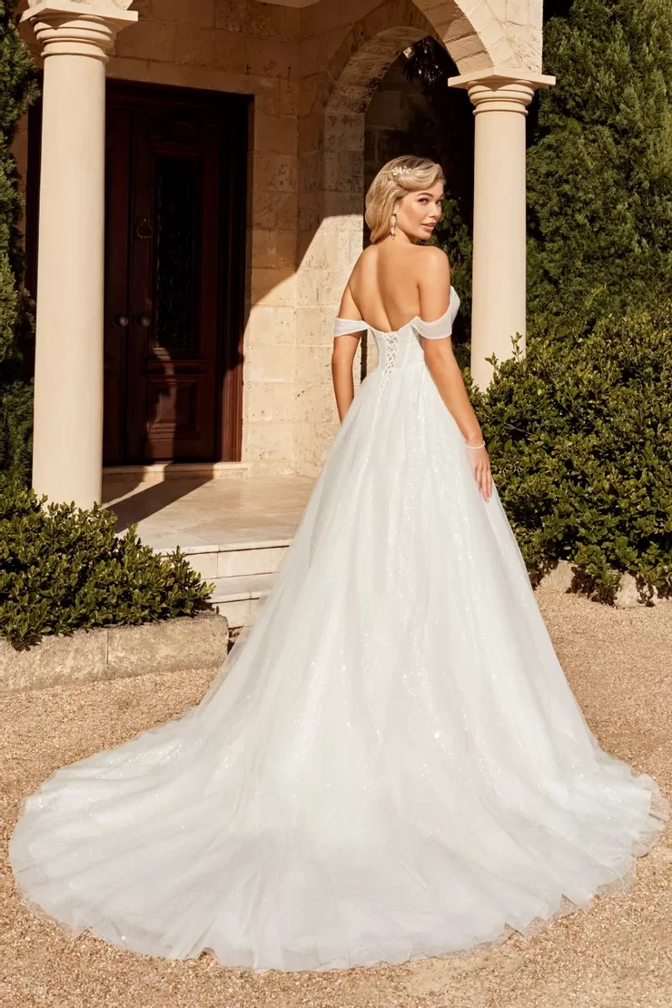 Sophia Tolli Lazaris wedding dress - back view with decorative back detail and train