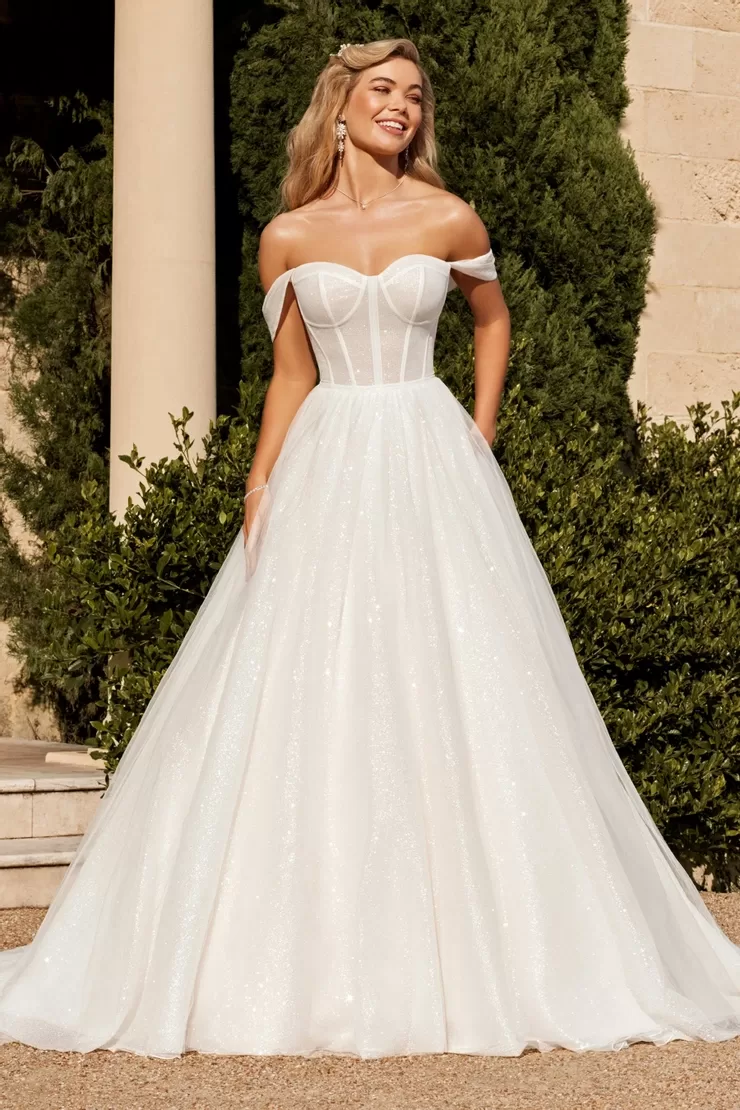 Sophia Tolli Lazaris wedding dress - front view with sculptured bodice and full A-line skirt