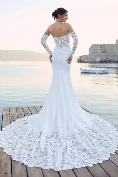 Sophia Tolli Lucie wedding dress - back view with statement back and court train