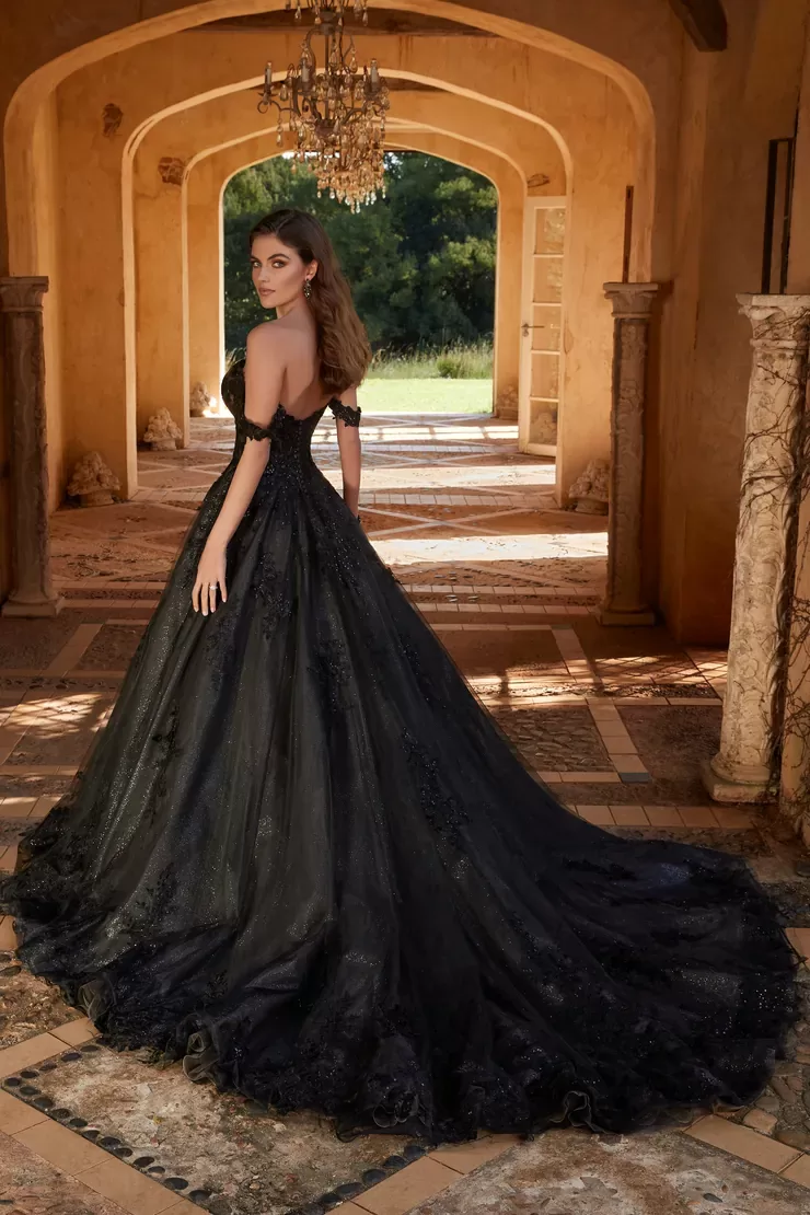Sophia Tolli Rebekah wedding dress - back view with lace-up back and royal train