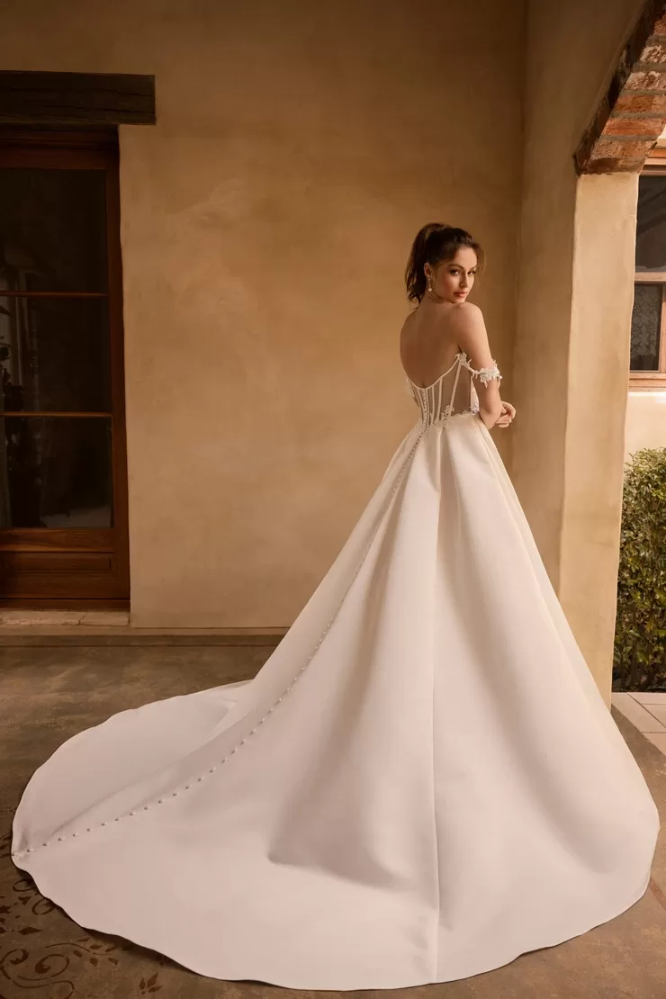Sophia Tolli Rue wedding dress - back view with V-back and cascading tulle train